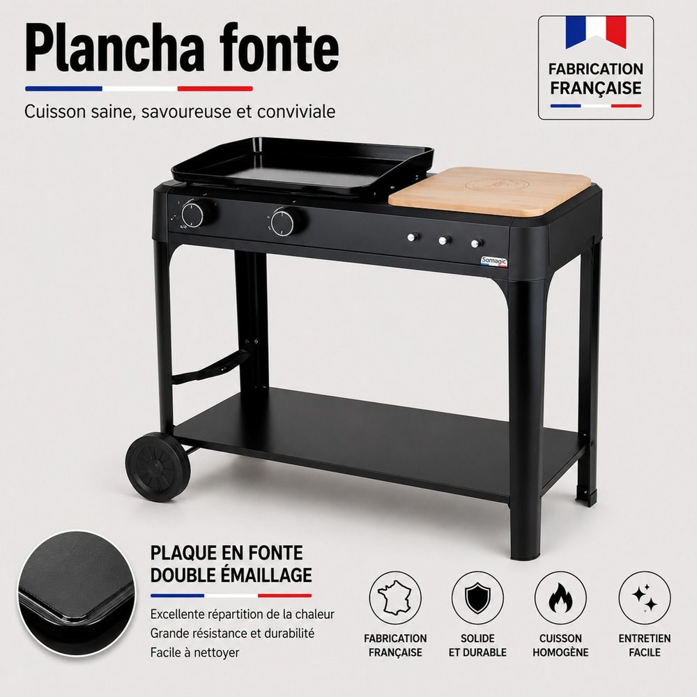 Plancha au gaz hendaye 250