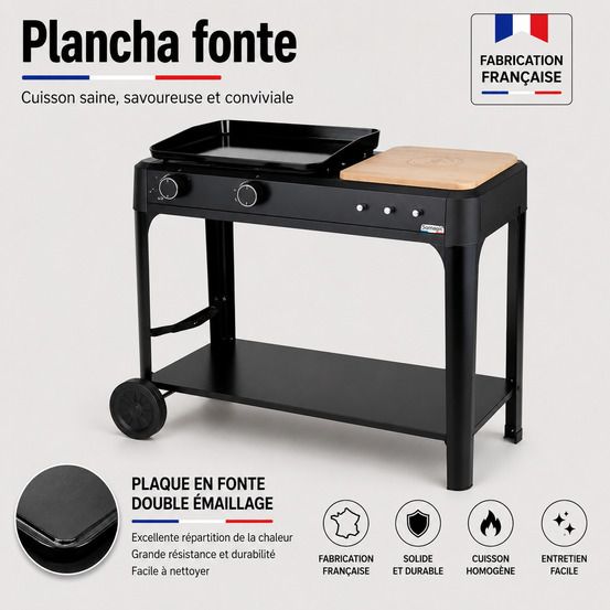 Plancha au gaz hendaye 250