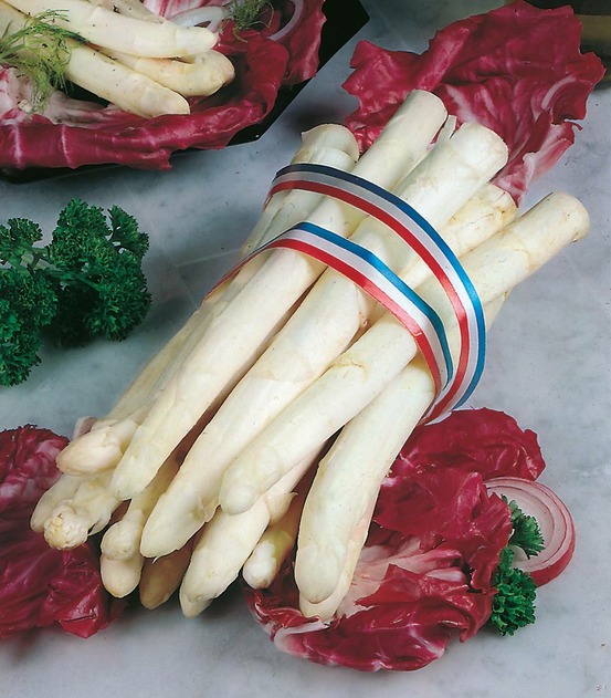 Asperge argenteuil - 10 griffes