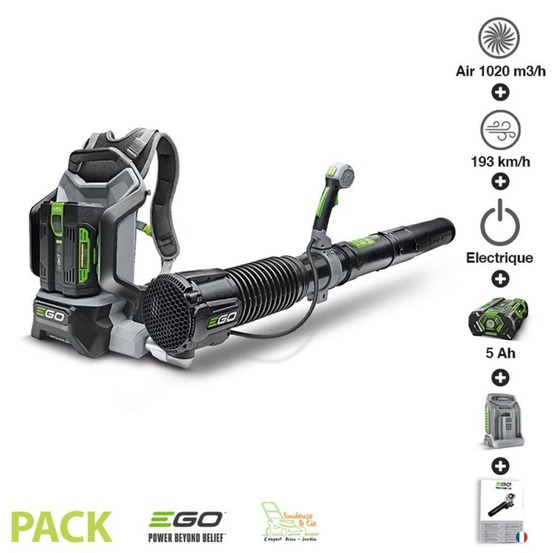 Pack souffleur professionnel 1020m3 heure batterie dorsale 5ah chargeur rapide ego power lb6002e
