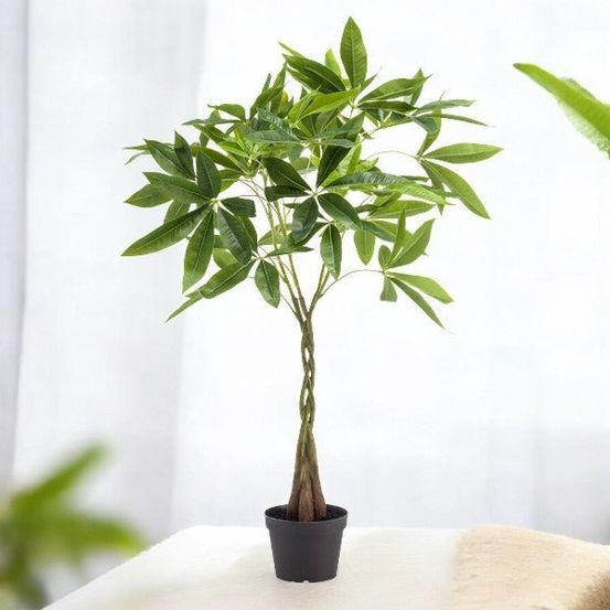 Pachira aquatica artificiel h90cm