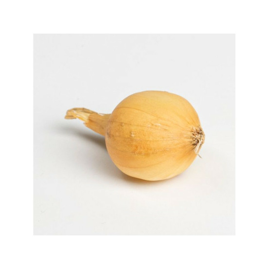 Jaune paille des vertus bulbes d'oignons a repiquer 500gr