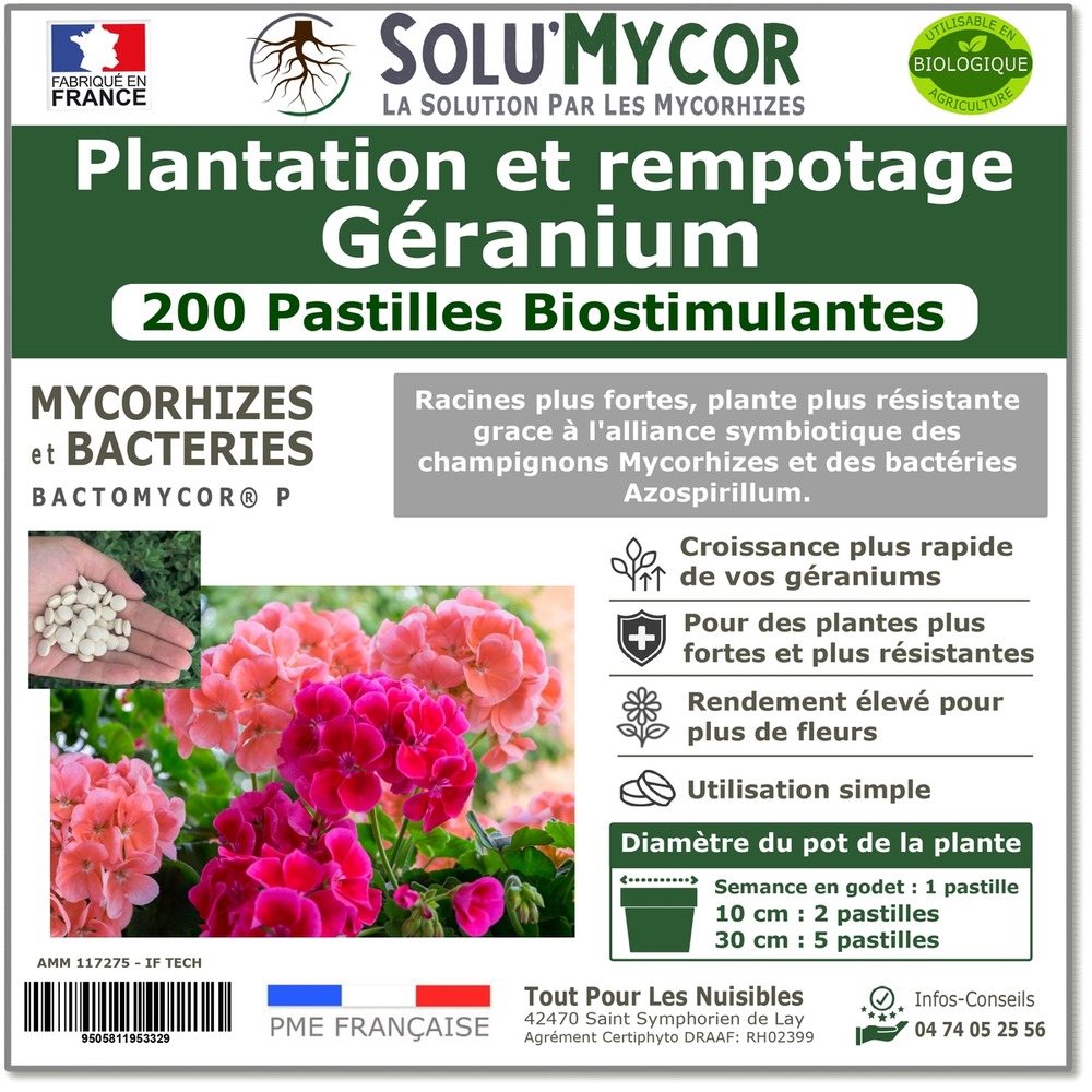 Solumycor 200 pastilles biostimulantes géraniums semis et plantation favorise le développement racinaire
