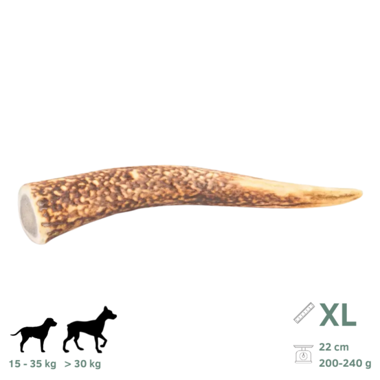 Bois de cerf pour chien xl 200-240g