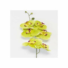 Orchidee Phalaenopsis Artificiel Zen H 77 cm 6 fleurons magnifiques Ve