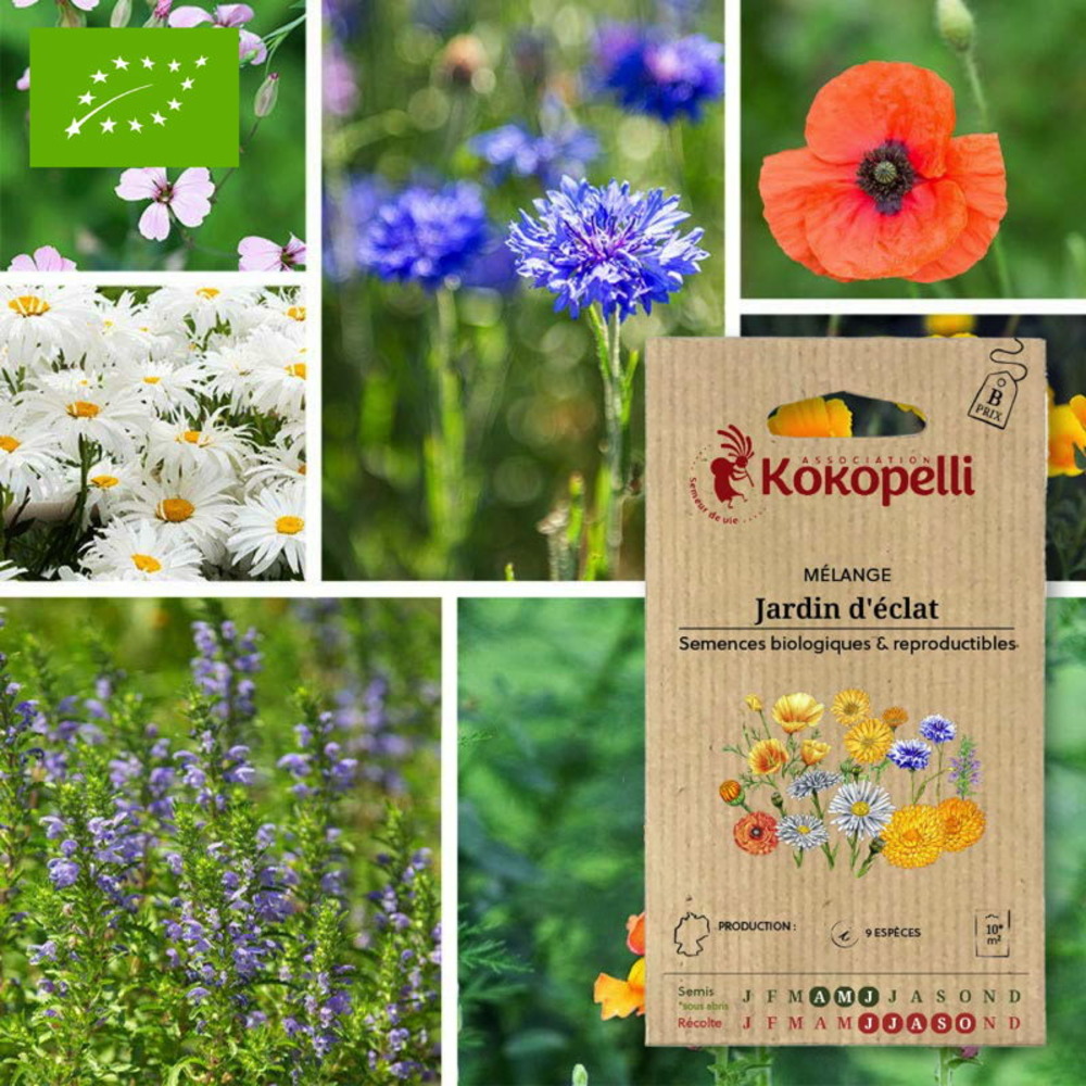 Mélange jardin d'éclat- graines bio à semer