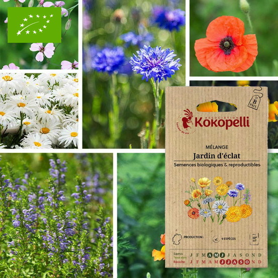 Mélange jardin d'éclat- graines bio à semer