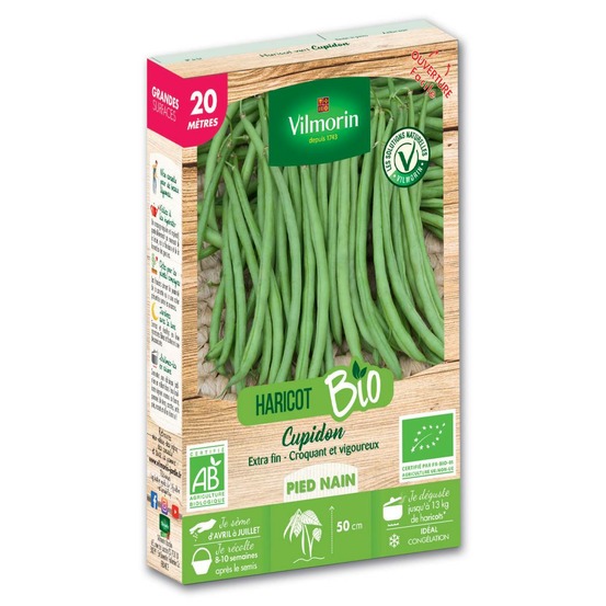 Graines de haricot nain vert cupidon bio - 20 mètres