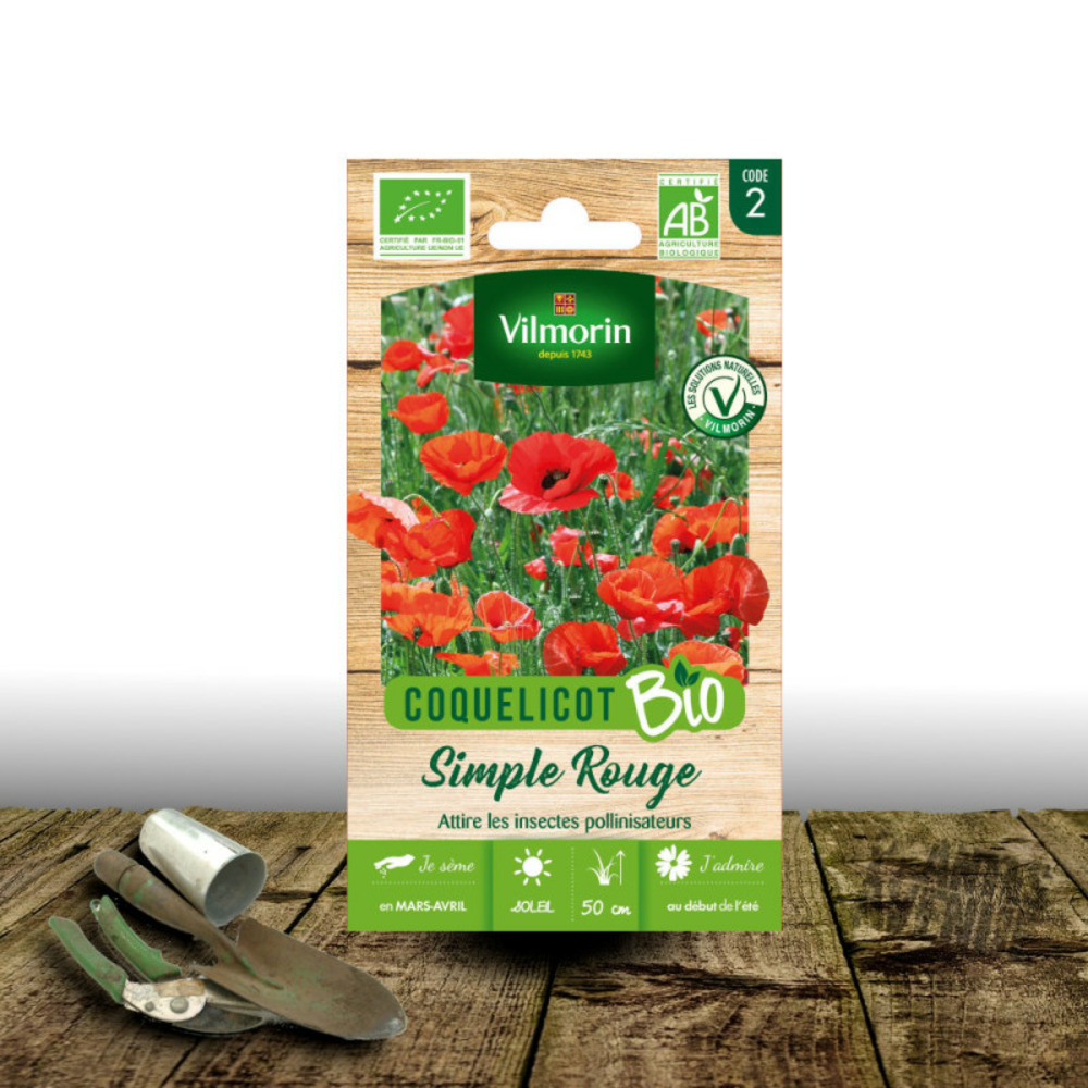 Graines de pavot de californie orange - sans traitement - vilmorin sachet