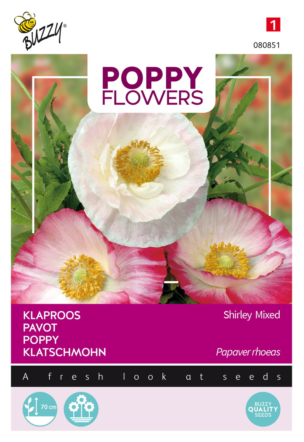 Buzzy poppy flowers coquelicot en mélange - ca. 1 gr (livraison gratuite)
