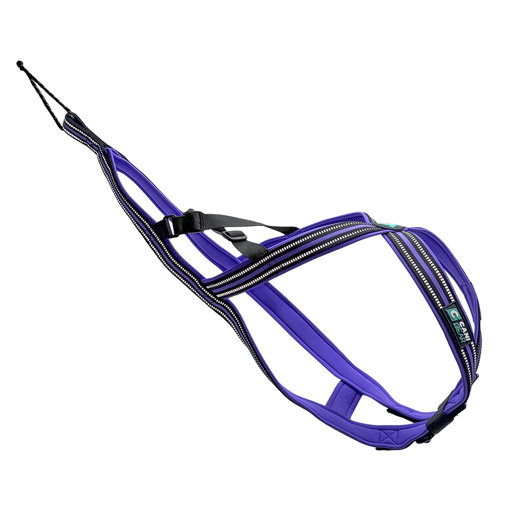 Harnais olympia s - lilas