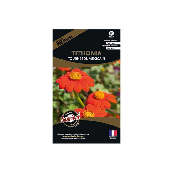 Graines de fleurs premium tithonia tournesol mexicain