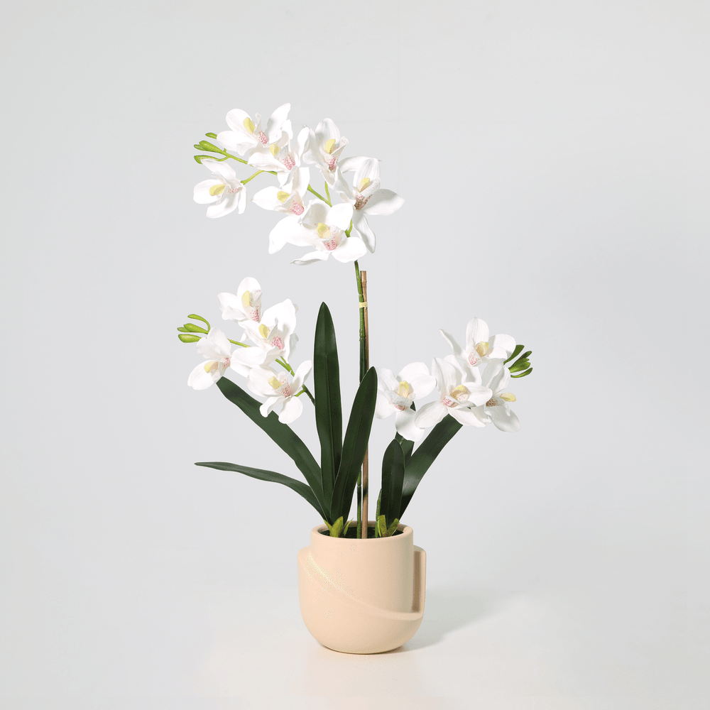 Phalaenopsis orchidée avec pot - 71cm - ø17cm - plante artificielle