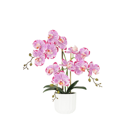 Orchidée artificielle fuchsia mouchetée 50cm