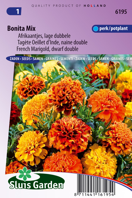 Tagète oeillet d´inde naine double bonita mix - graines de fleurs annuelles - ca. 0,5 g (livraison gratuite)