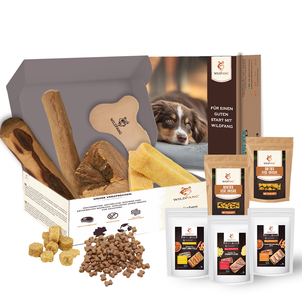 Wildfang - pack chiot xxl « bienvenue chéri » - m