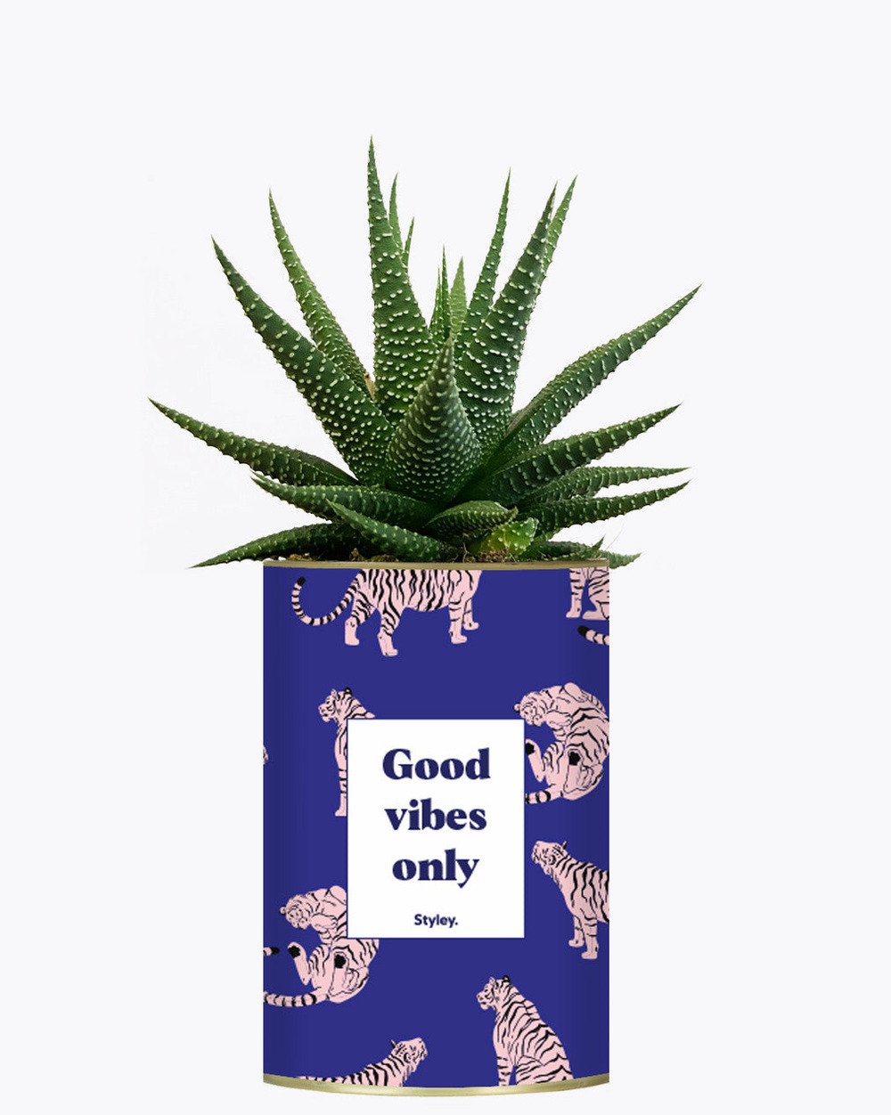 Idée cadeau - good vibes only - cactus