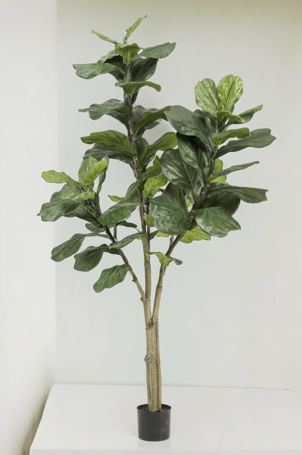 Ficus lyrata plante artificielle h180cm, ø17cm