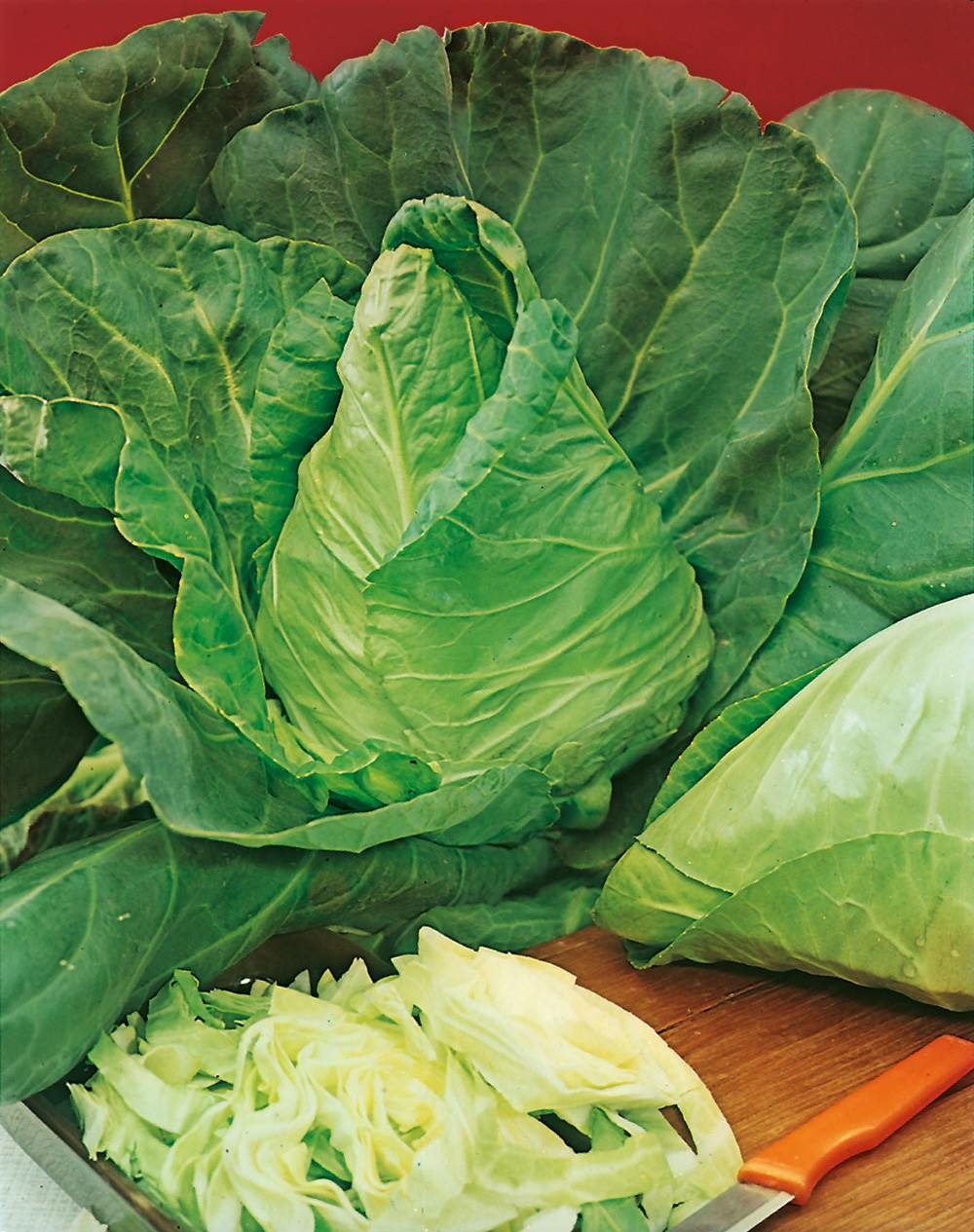 Chou cabus express - 3 g