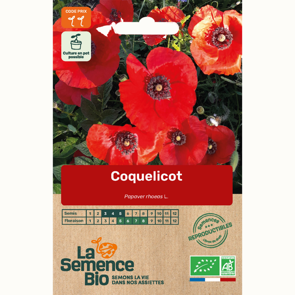 Coquelicot - graines bio