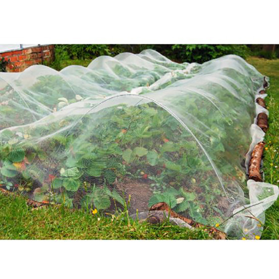 Filet de protection contre les insectes 2,5x10 m
