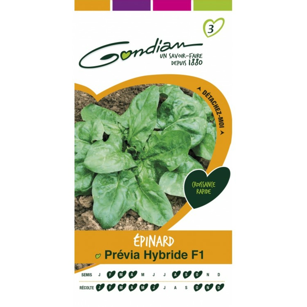 Epinard prévia hybride f1