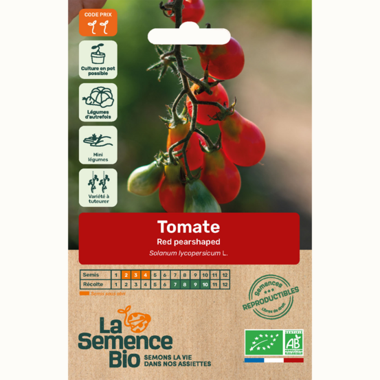Tomate red pearshaped - graines bio