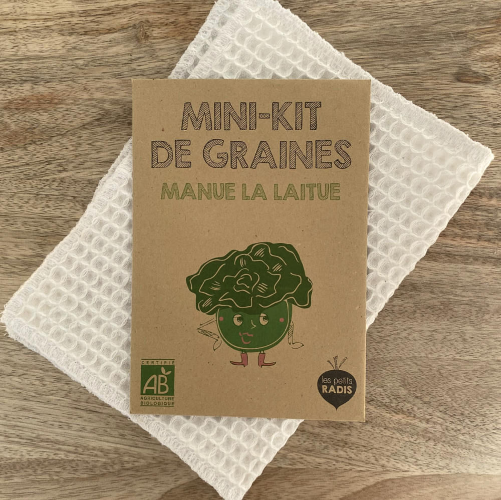 Mini kit de graines - manue la laitue