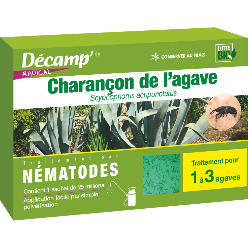 Nématodes sc anti charançon de l'agave 25m - 50m²