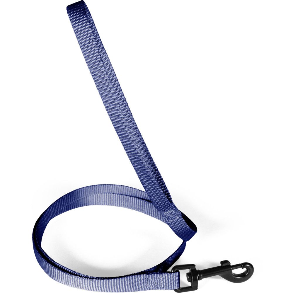 Laisse pour chien en nylon recyclé, sangle 25 mm, longueur 1,20 m - zolux (
