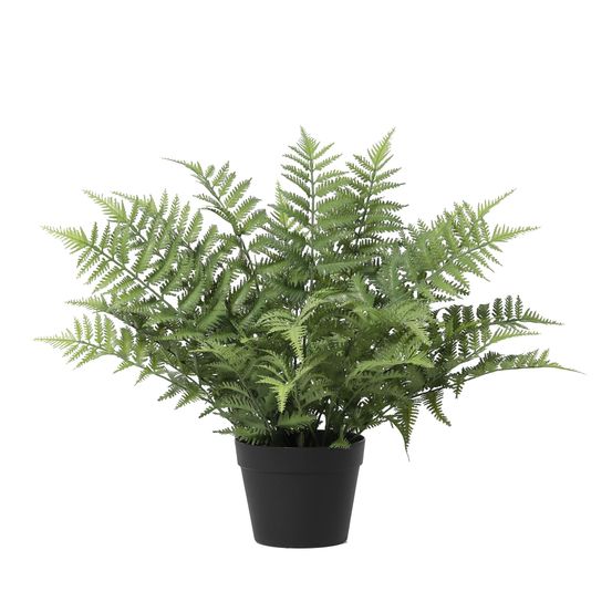 Nephrolepis exaltata plante artificielle - h59 cm - ø18 cm