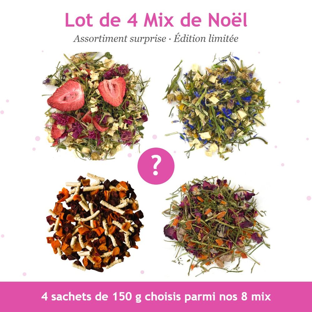 Lot de 4 mix de noël – assortiment surprise (édition limitée)