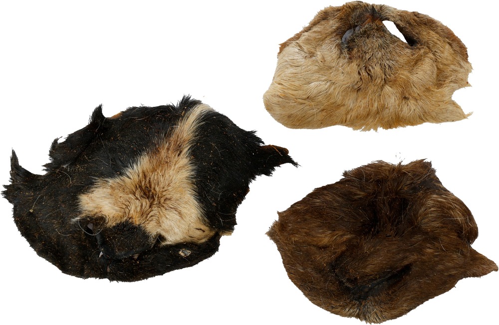 Friandises nature nez de mouton avec poils