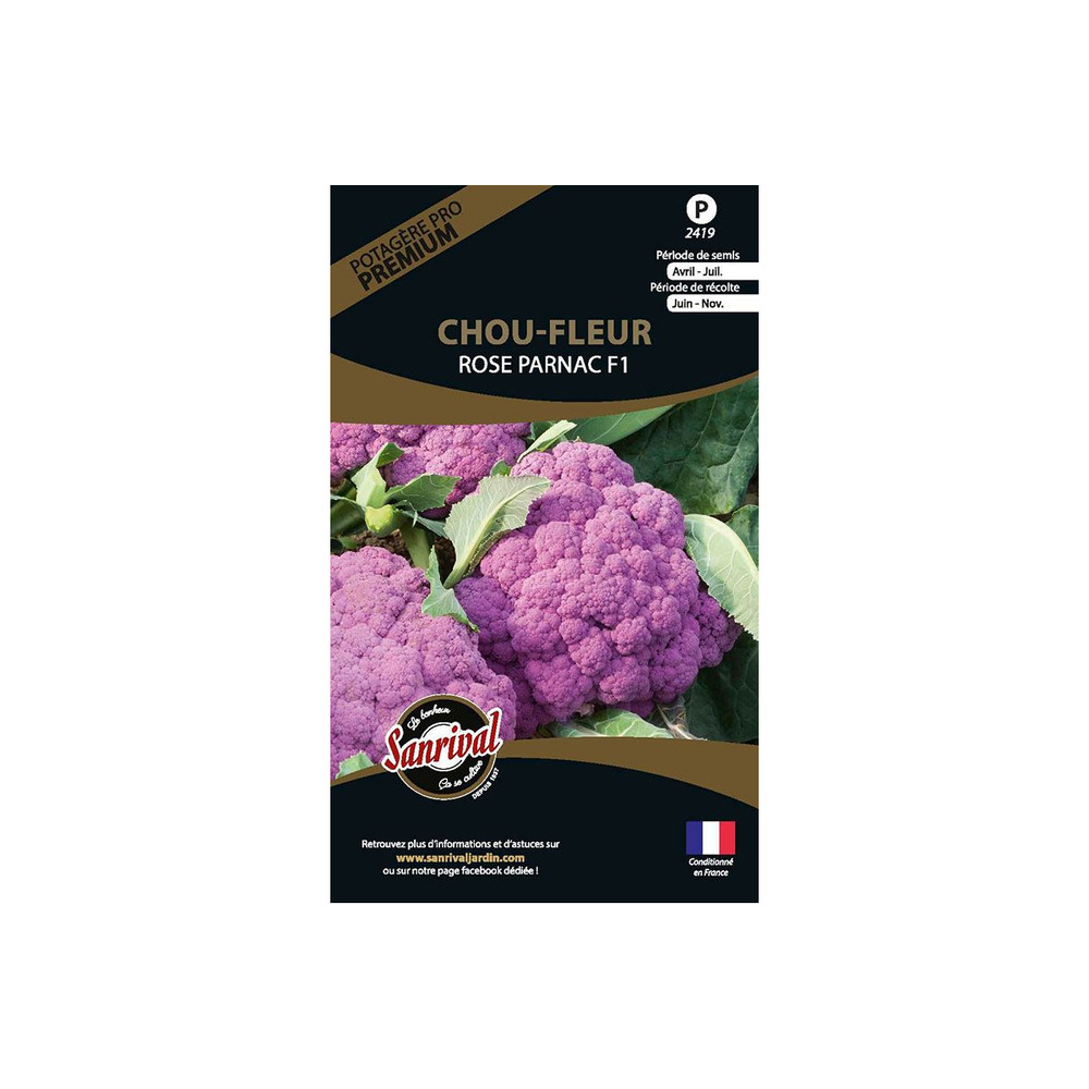 Graines potagères premium chou chou-fleurs rose parnac