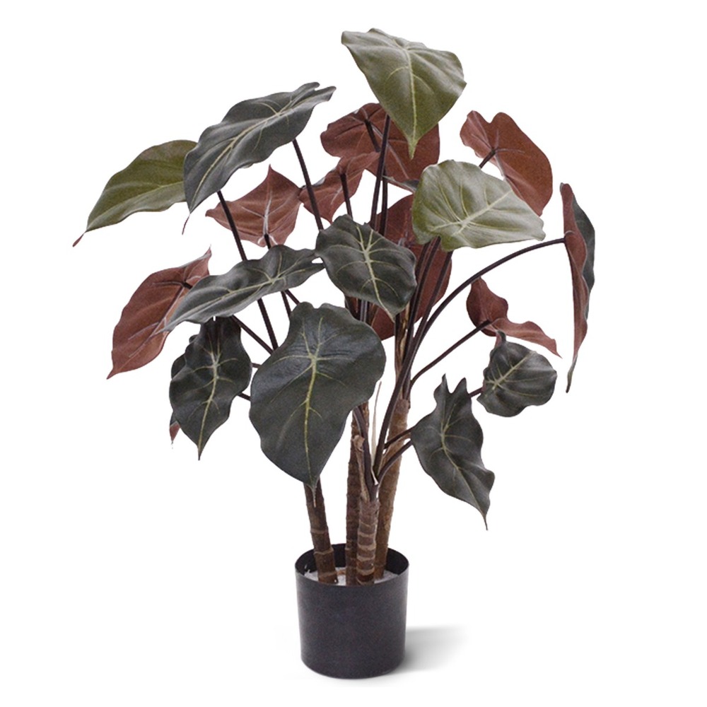 Syngonium plante artificielle de 60 cm sur bois