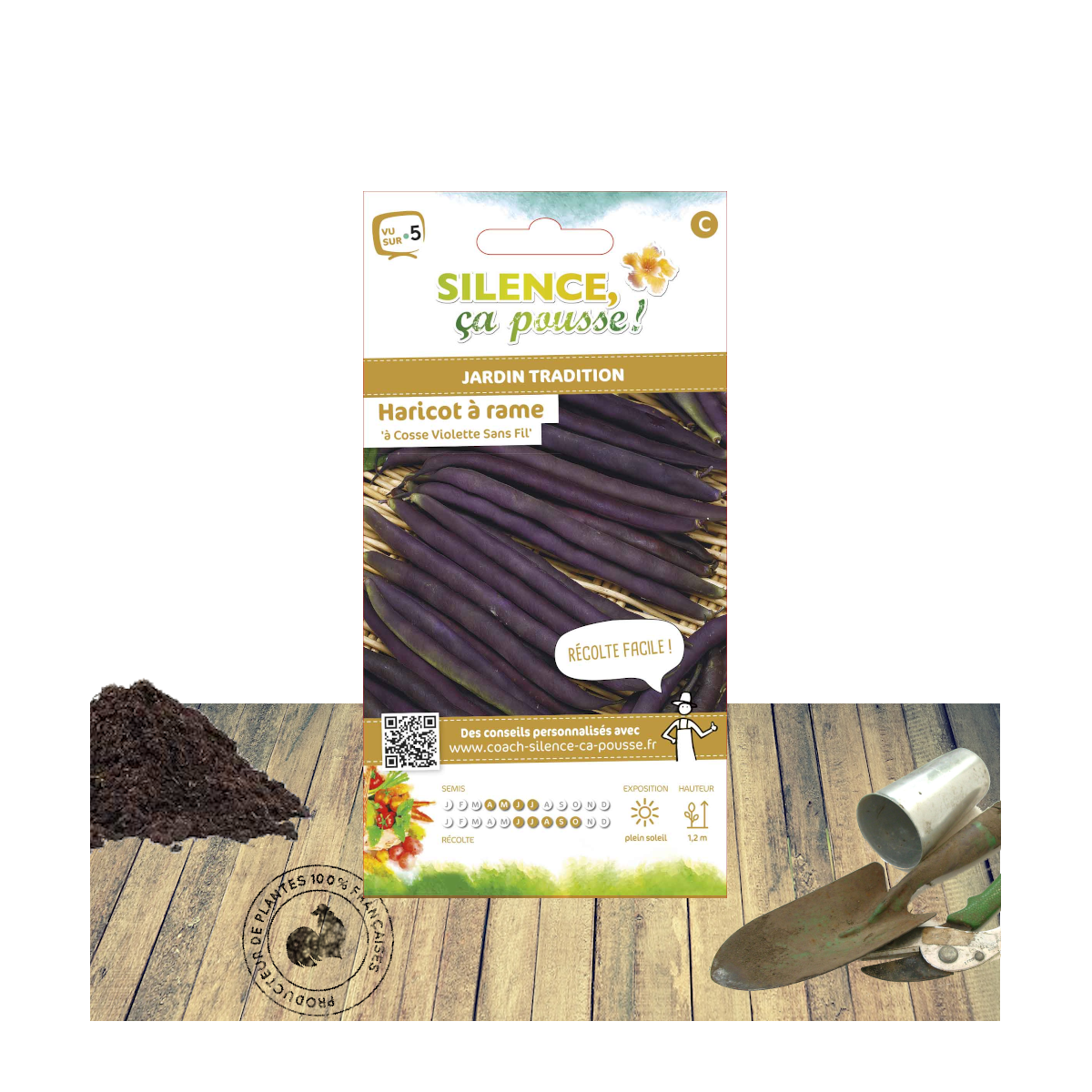 Graines de haricot a rame violette sans fil à écosser/phaseolus vulgaris a rame violette sans fil[-]sachet de 80 gr.