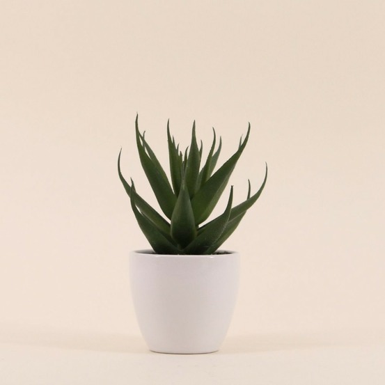 Plante grasse artificielle pot céramique 15cm