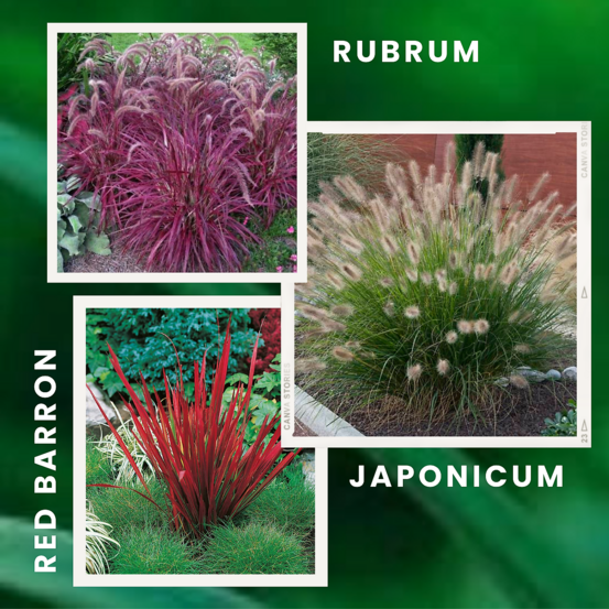 Offre speciale graminees - 9 godets