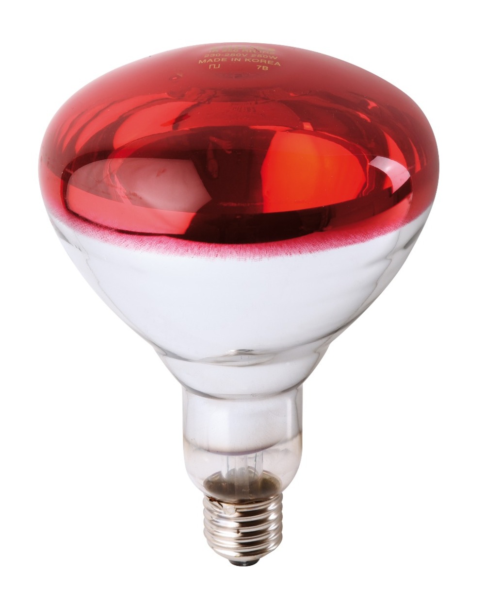 Ampoule philips ir à vis rouge 250w