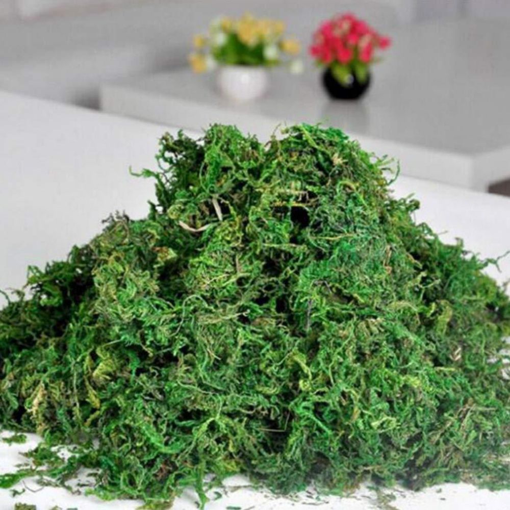 Pinces Romaines Pour Fleuristes - Lot De 100, Acier Solide, Pour Couronnes, Arrangements Floraux, Mariages