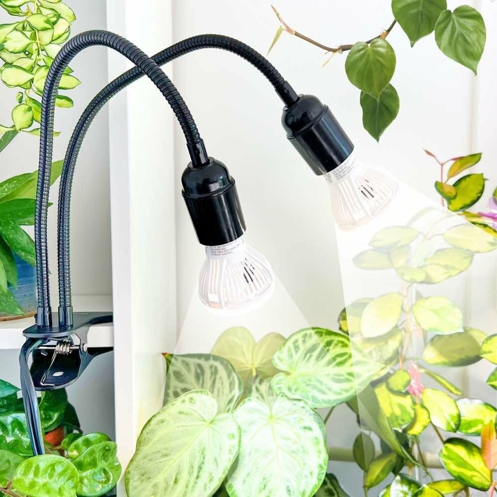 Lampe horticole pour plantes d'intérieur - lampe de croissance horticole - lampe pour plantes à spectre complet 2 ampoules