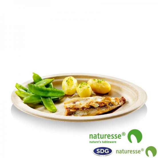 Assiette pulpe de cellulose nature 18 à 26 cm - sdg - lot de 500