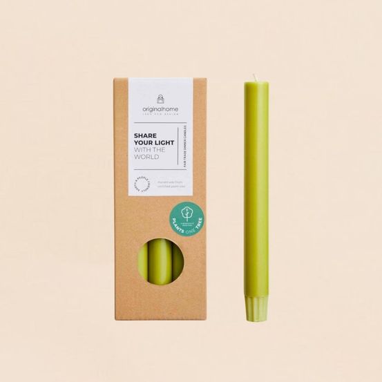 Set de 10 bougies cierges vert mousse 20 cm