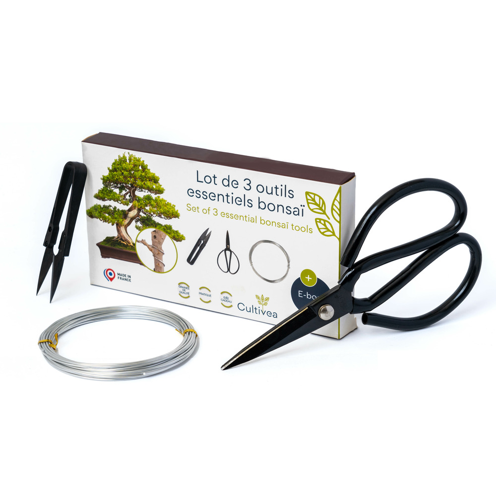 Lot de 3 Outils essentiels Bonsaï - Entretien, Taillage, Élagage - Ciseaux Ronds - Fil Aluminium - Outil en Acier