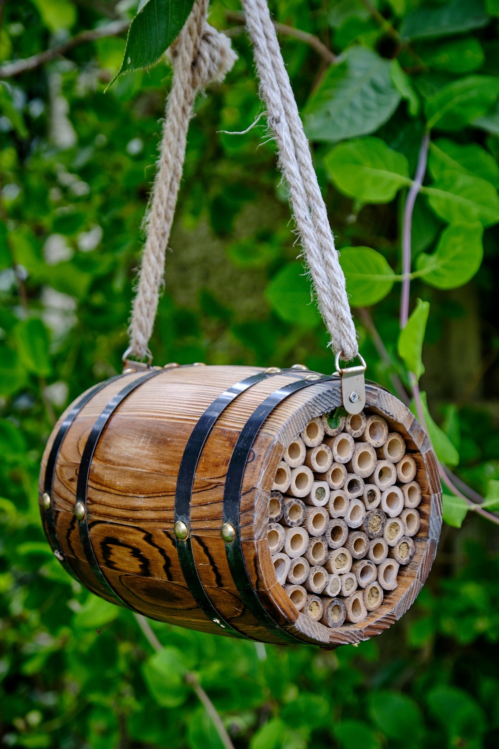 Bee barrel