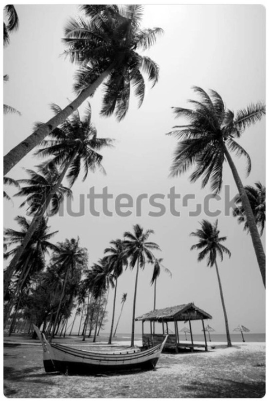 Affiche encadrée ayu noir et blanc 70x100cm