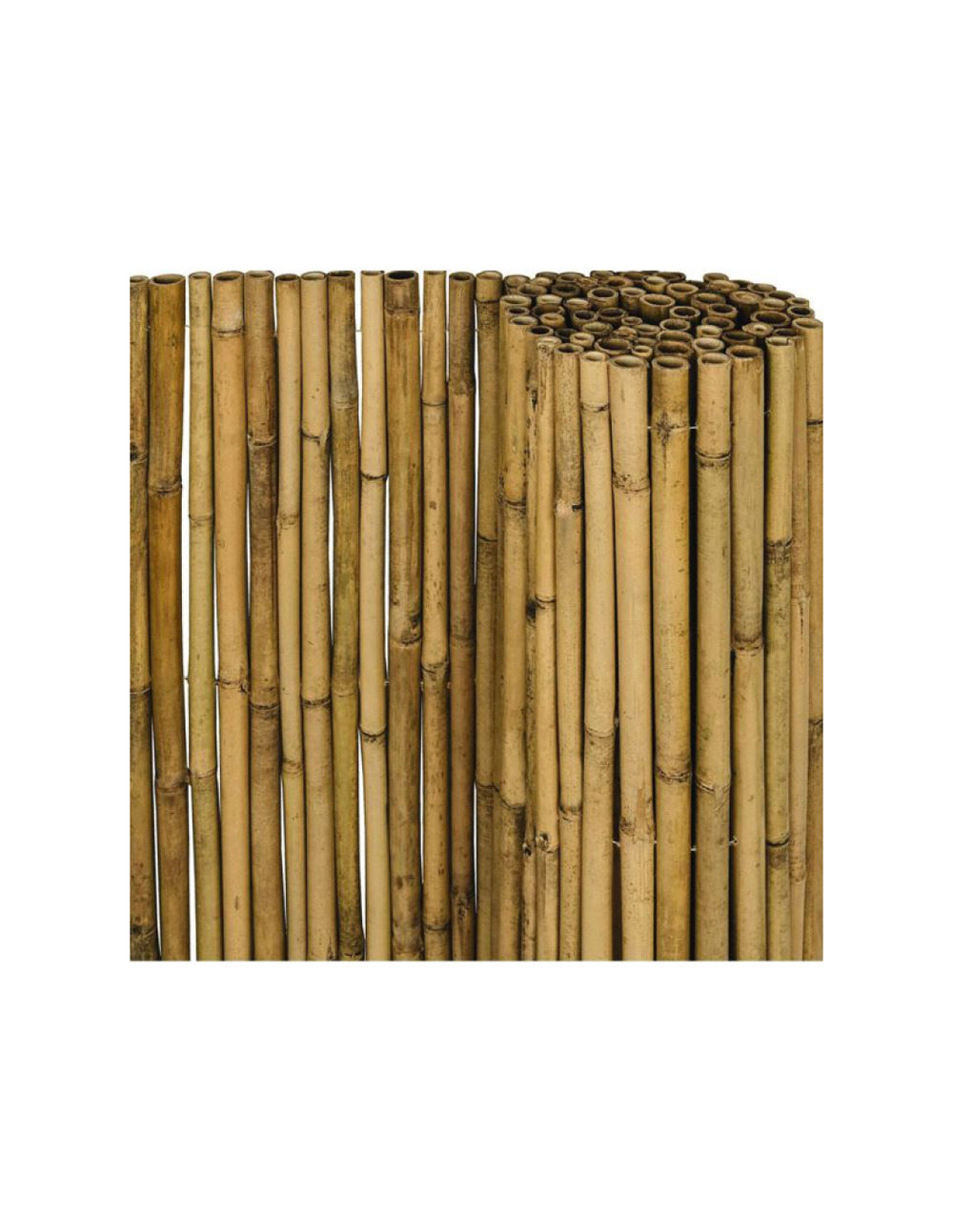 Canisse ronde tige de 10/12 mm tissage fil inox haut 2 m long 5 m