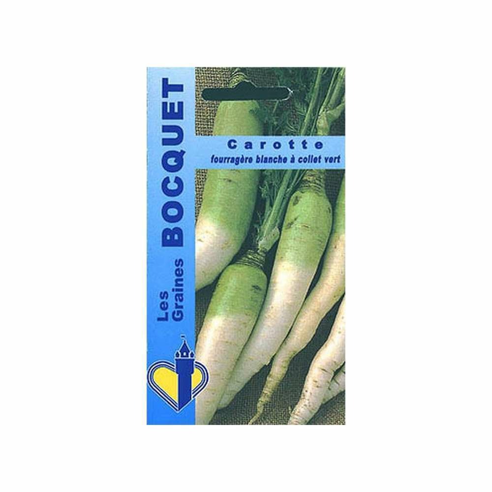Carotte fourragÃšre blanche Ã  collet vert hors