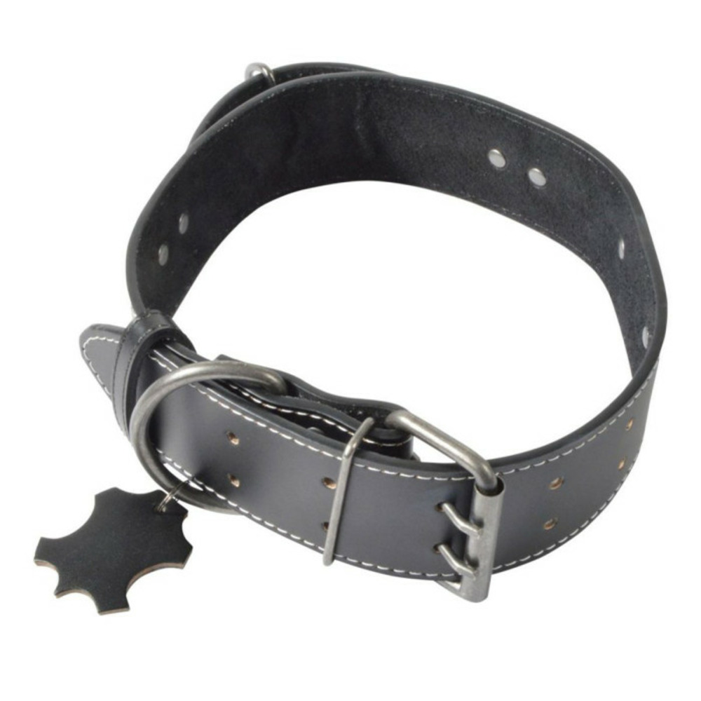 Collier pour chien 3xl 