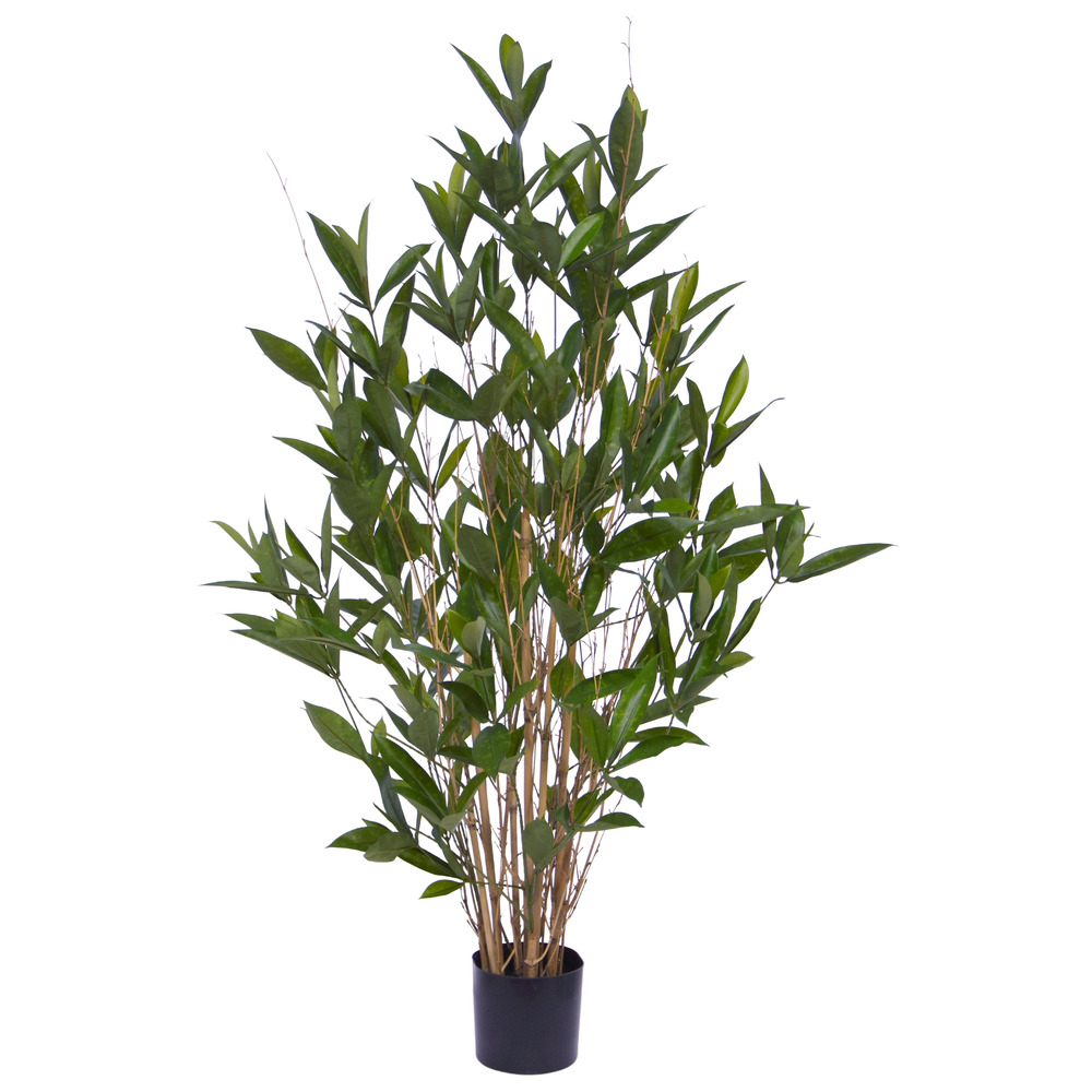 Plante artificielle draceana surculosa 110cm